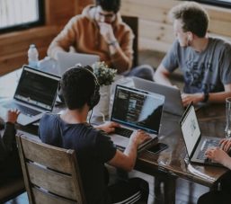 startup nedir